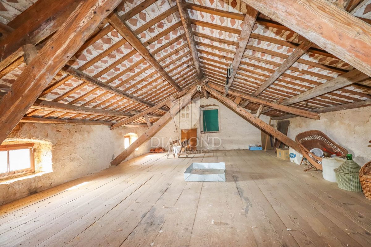 Canfanaro, dintorni, autentico casale con ampio giardino