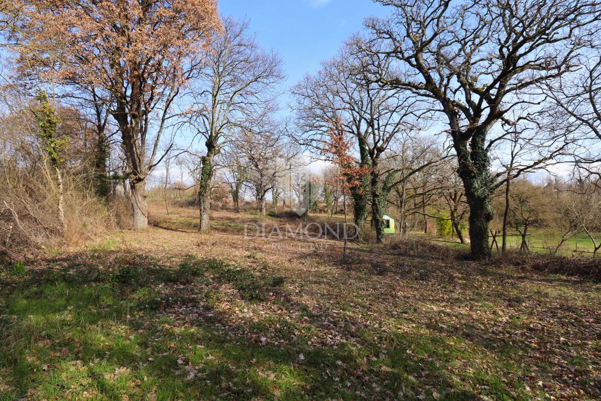 Canfanaro, dintorni, autentico casale con ampio giardino
