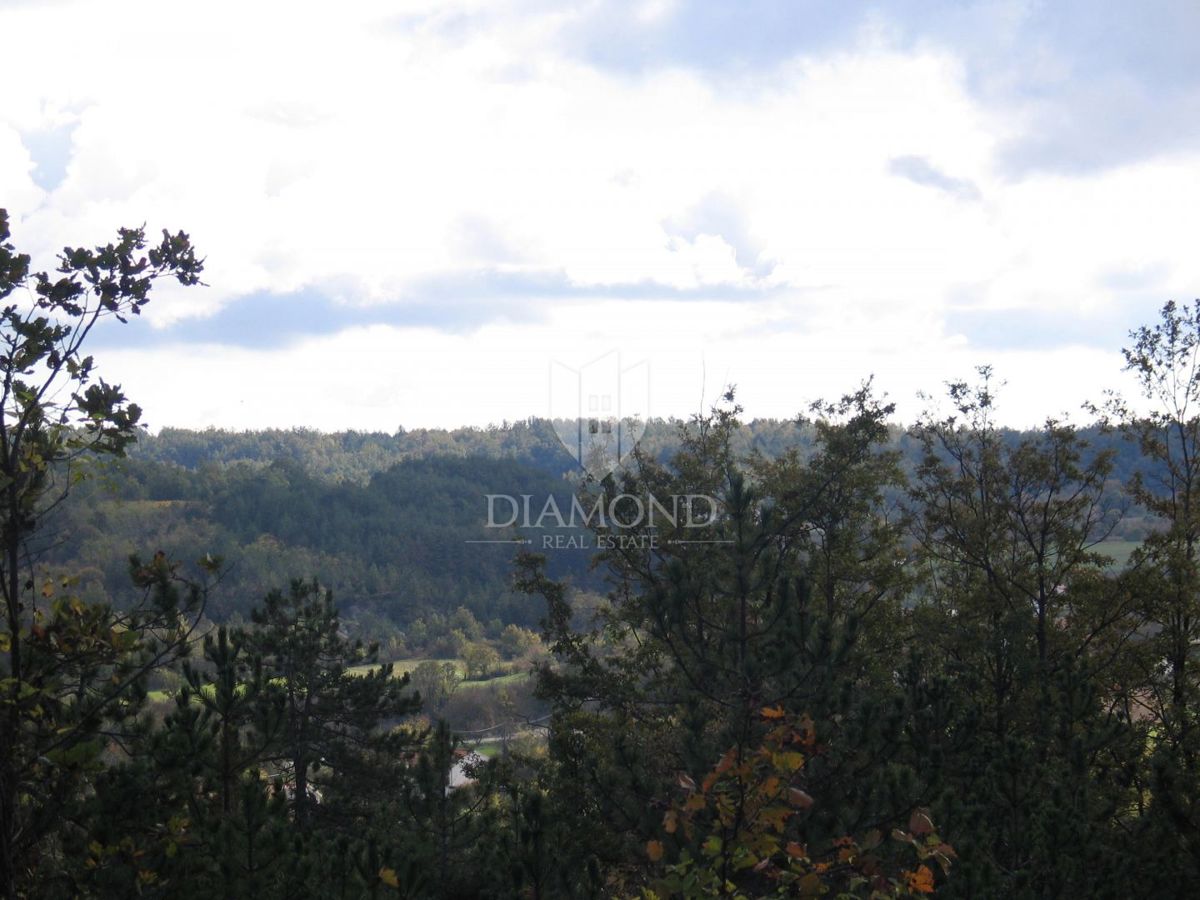 Terreno speciale immerso nella natura con documentazione
