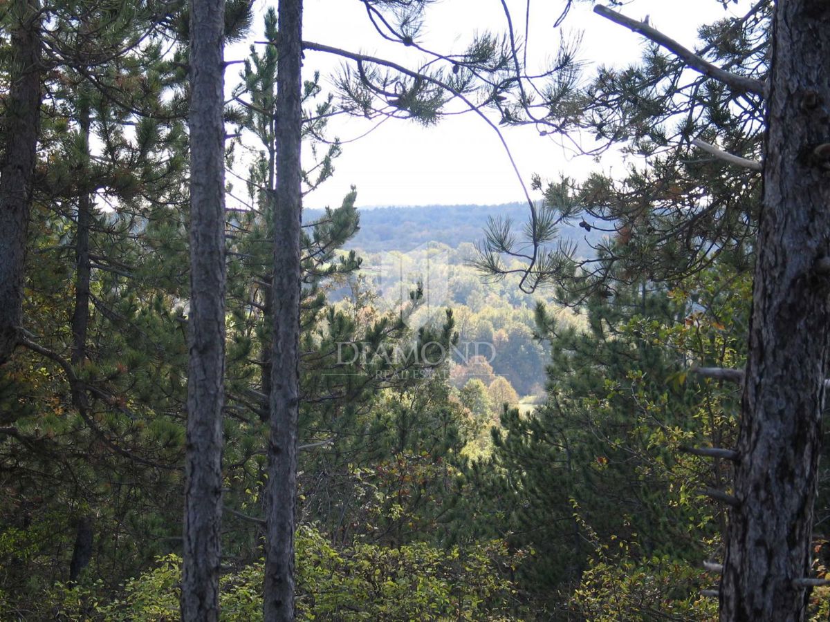 Terreno speciale immerso nella natura con documentazione