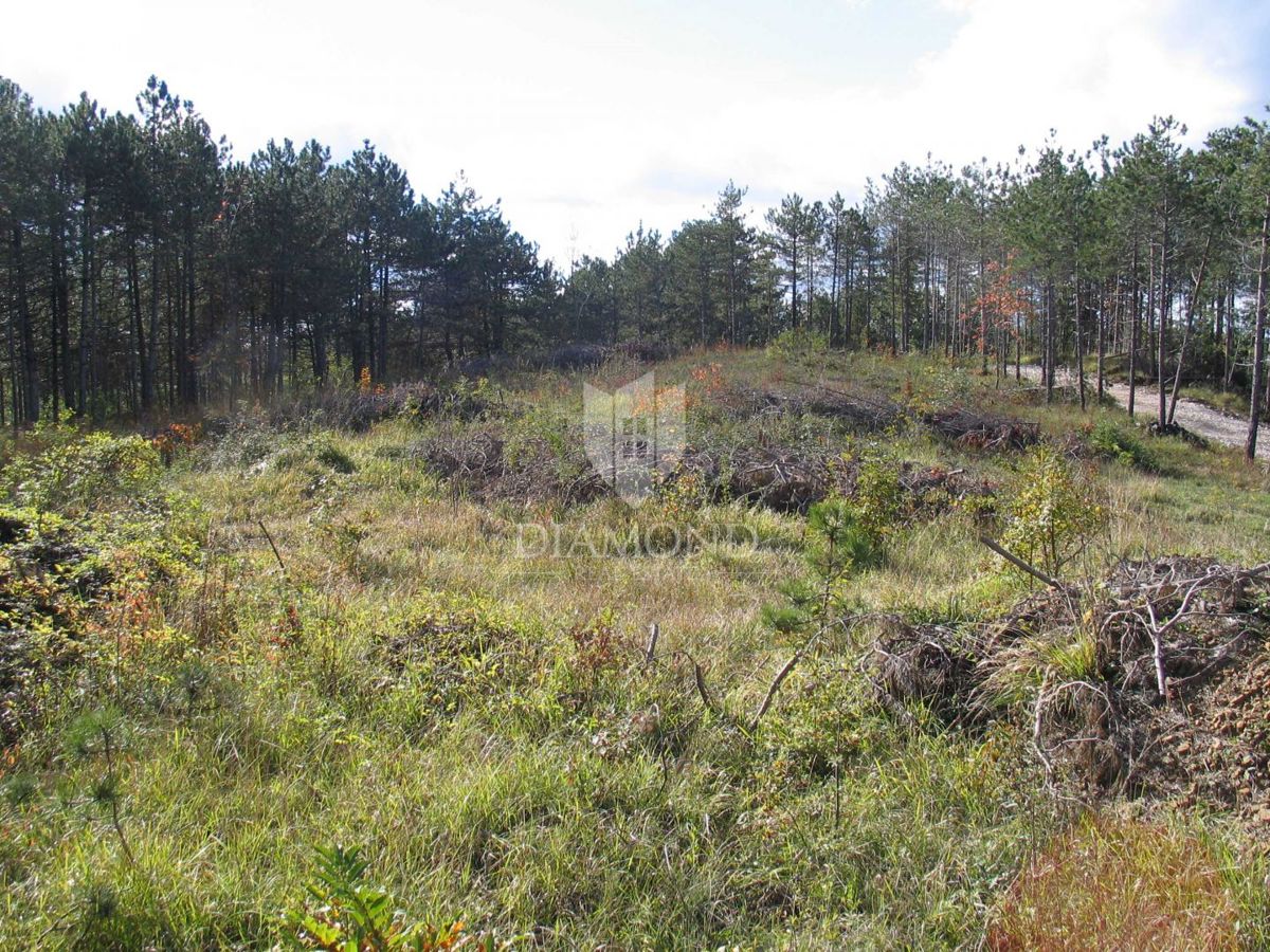 Terreno speciale immerso nella natura con documentazione
