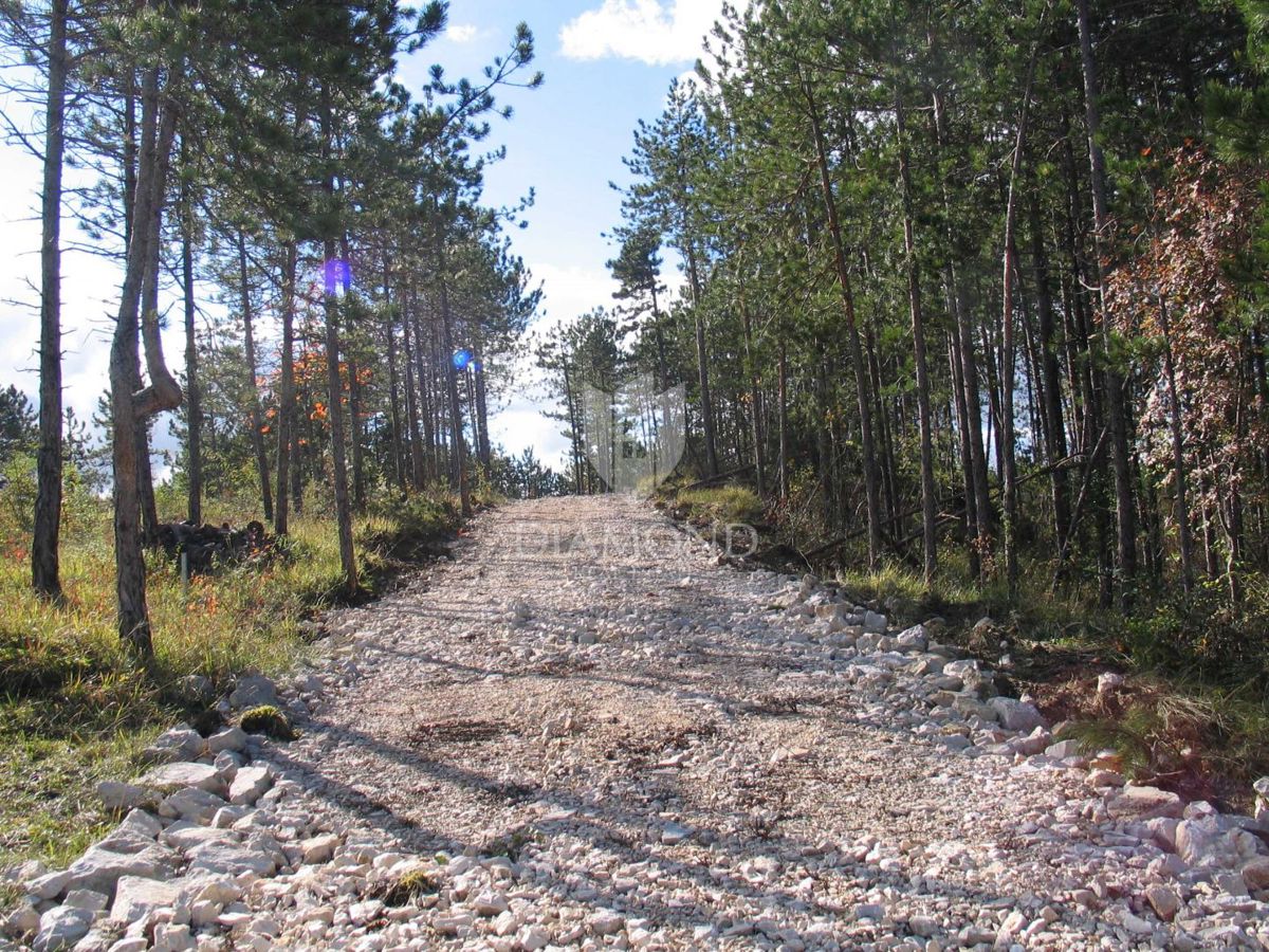Terreno speciale immerso nella natura con documentazione