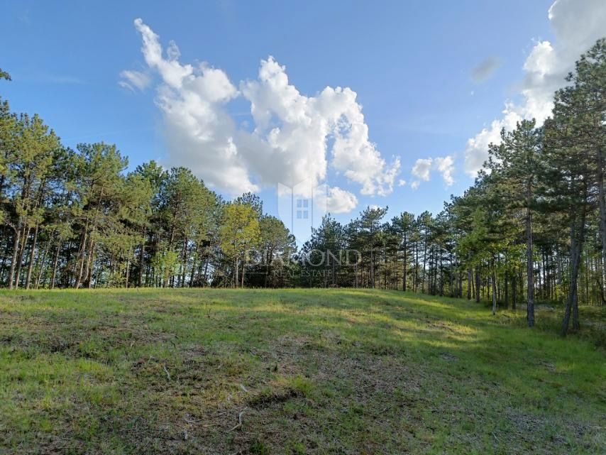 Terreno speciale immerso nella natura con documentazione