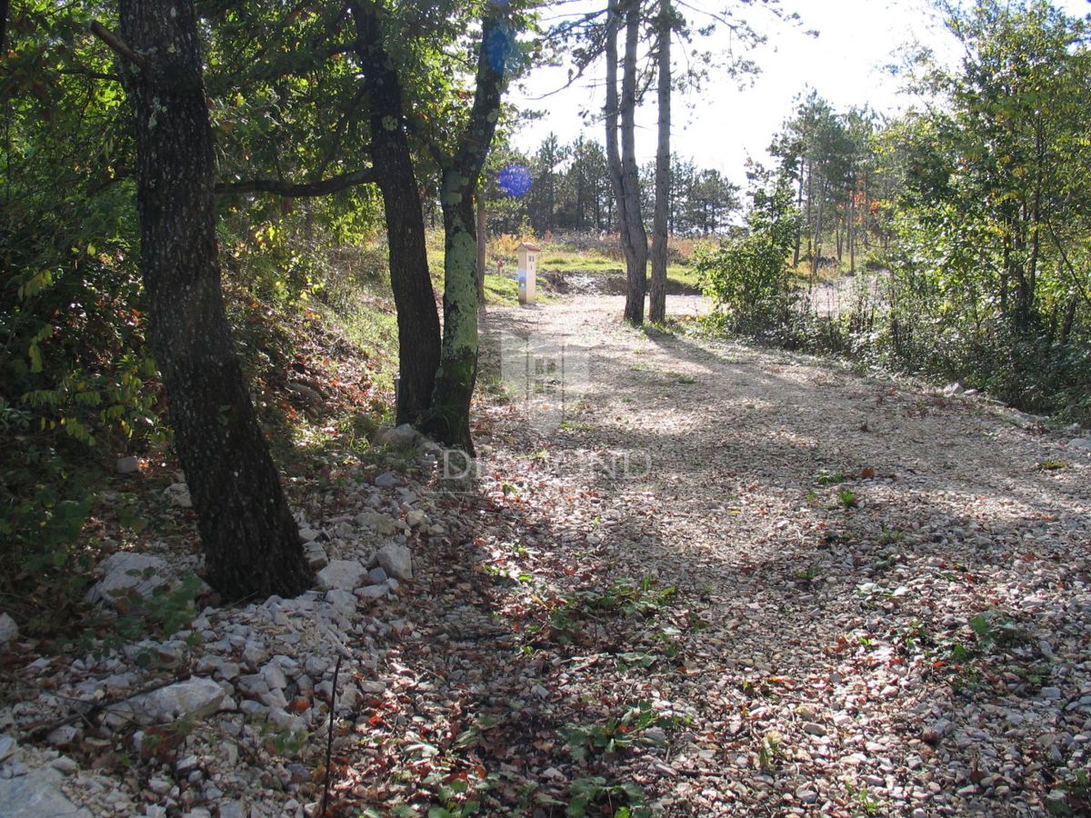 Terreno speciale immerso nella natura con documentazione