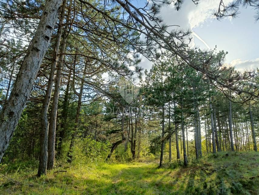 Terreno speciale immerso nella natura con documentazione