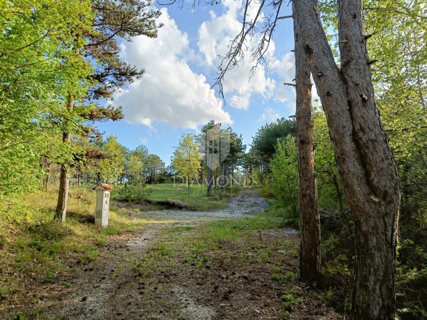 Terreno speciale immerso nella natura con documentazione