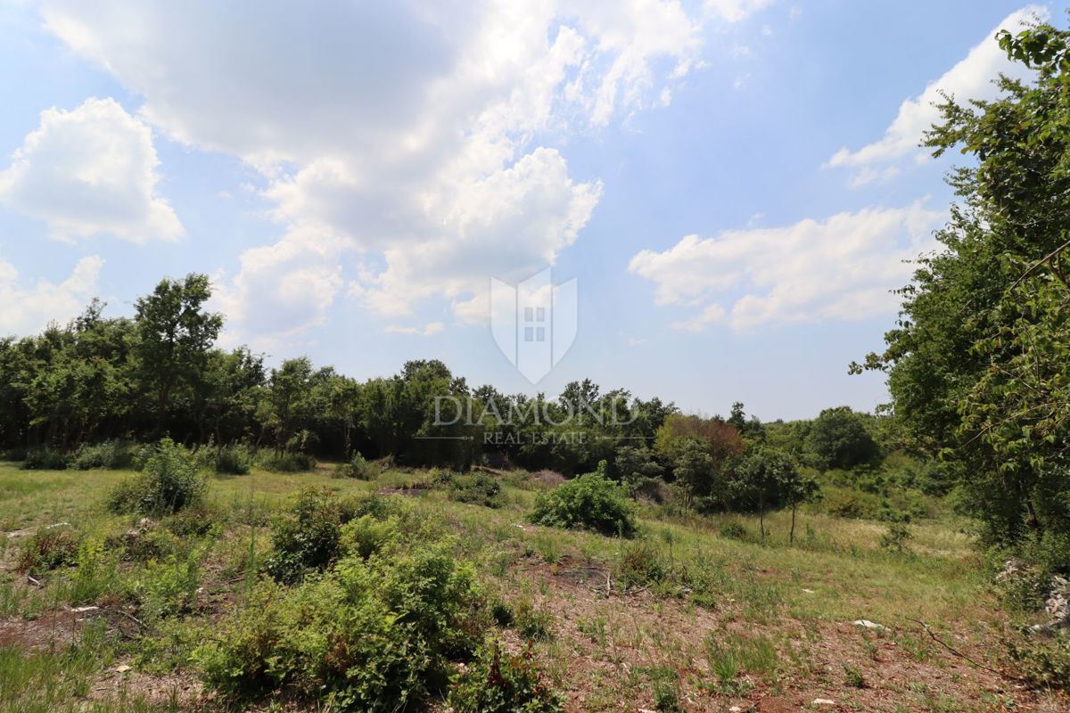 Terreno edificabile vicino a Žminj, idillio rurale