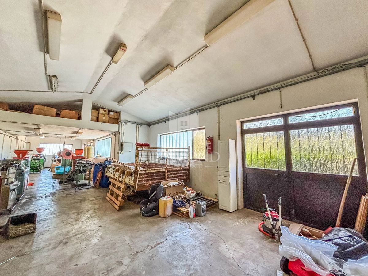 Novigrad, dintorni, casa con potenziale commerciale!