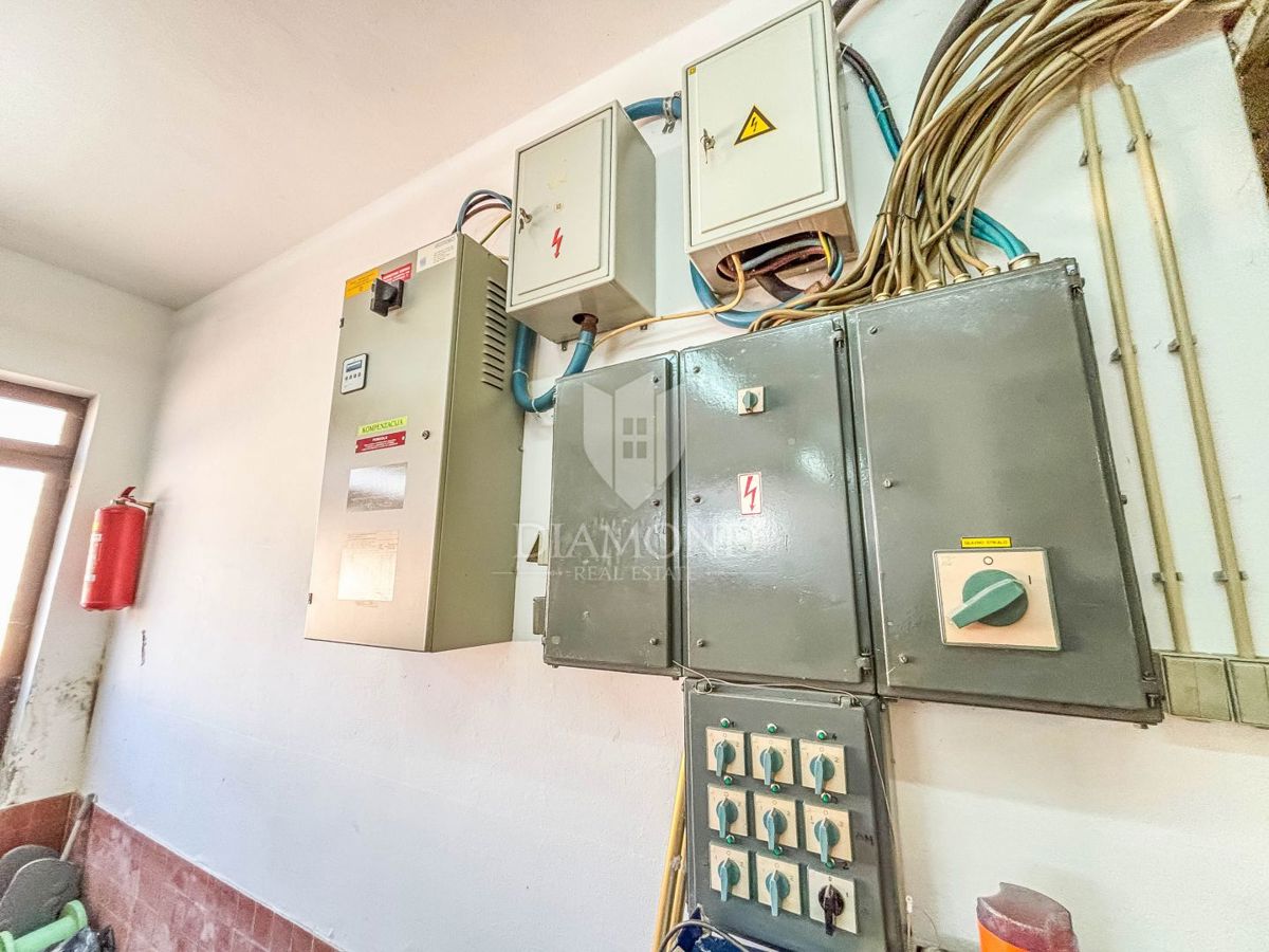 Novigrad, dintorni, casa con potenziale commerciale!