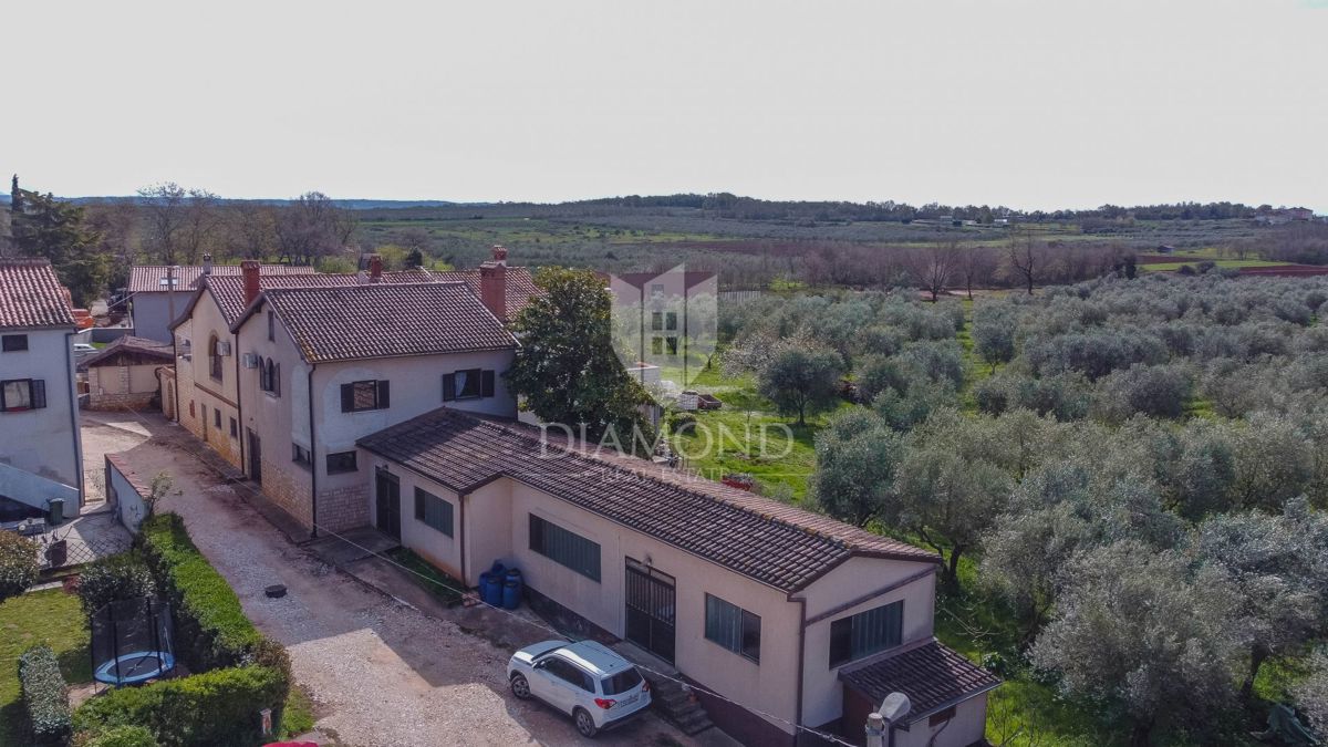 Novigrad, dintorni, casa con potenziale commerciale!