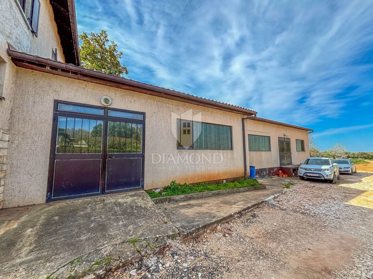 Novigrad, dintorni, casa con potenziale commerciale!