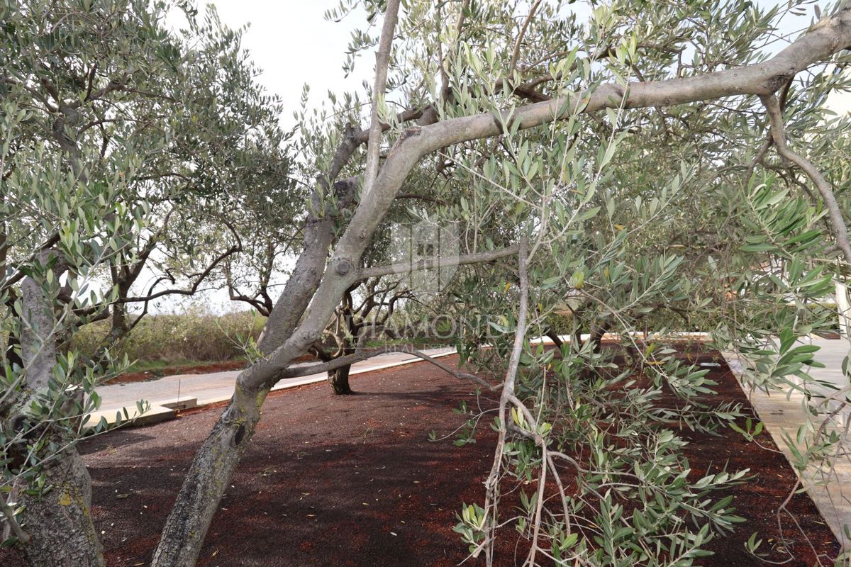 STOP! Villa con piscina e 4 camere da letto a 3 km da Parenzo – occasioni così non restano a lungo