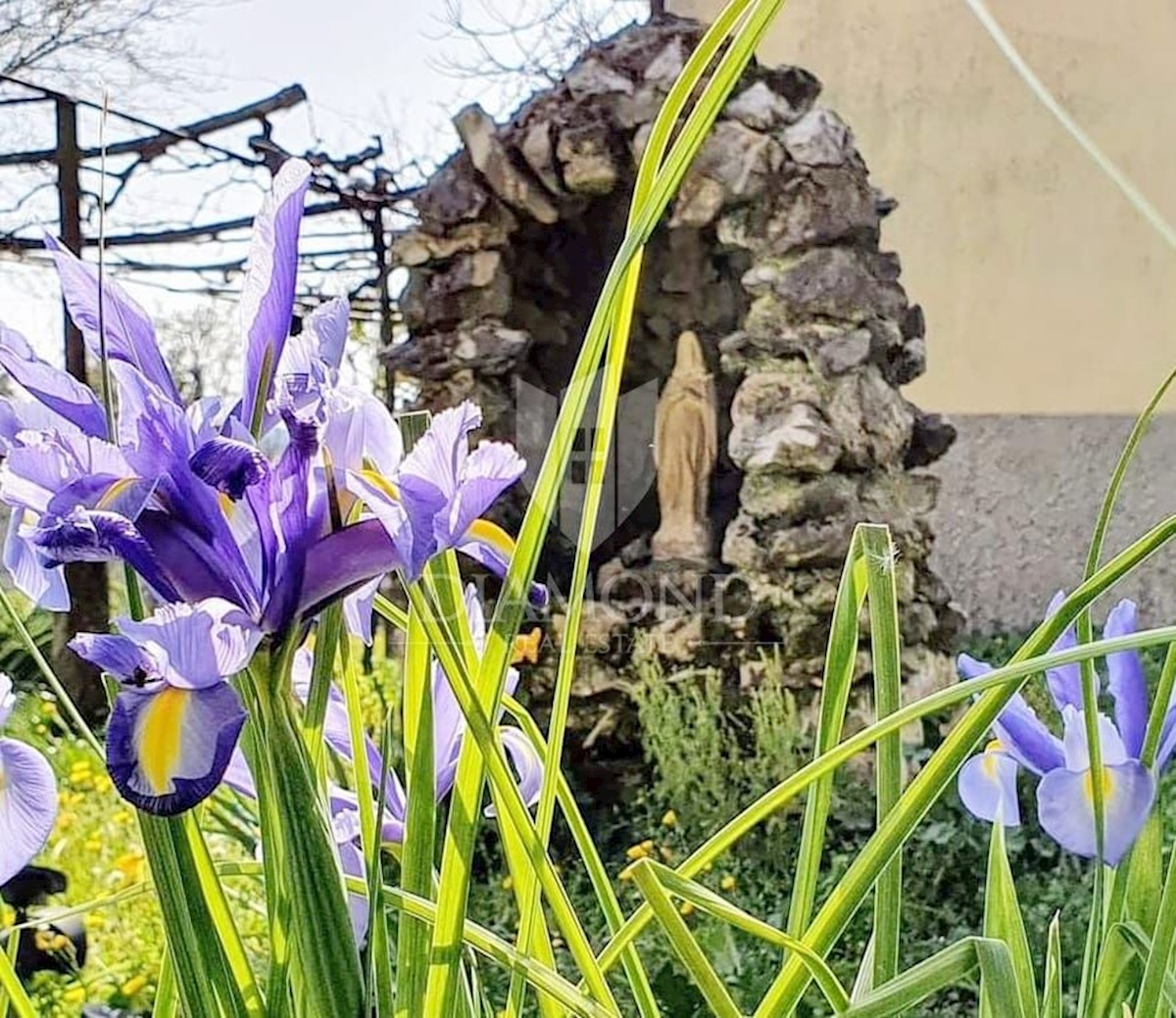 Labin, dintorni, casa in pietra tradizionale istriana