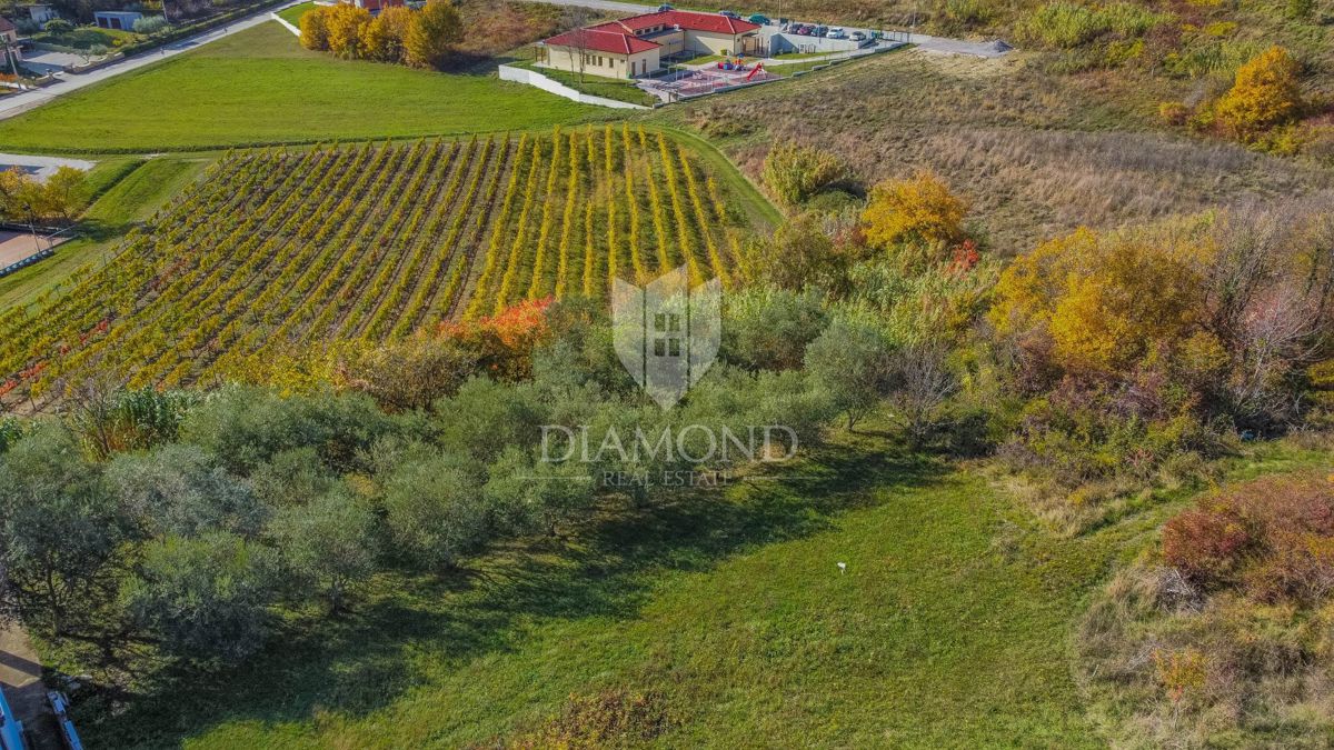Visinada, terreno edificabile con vista aperta