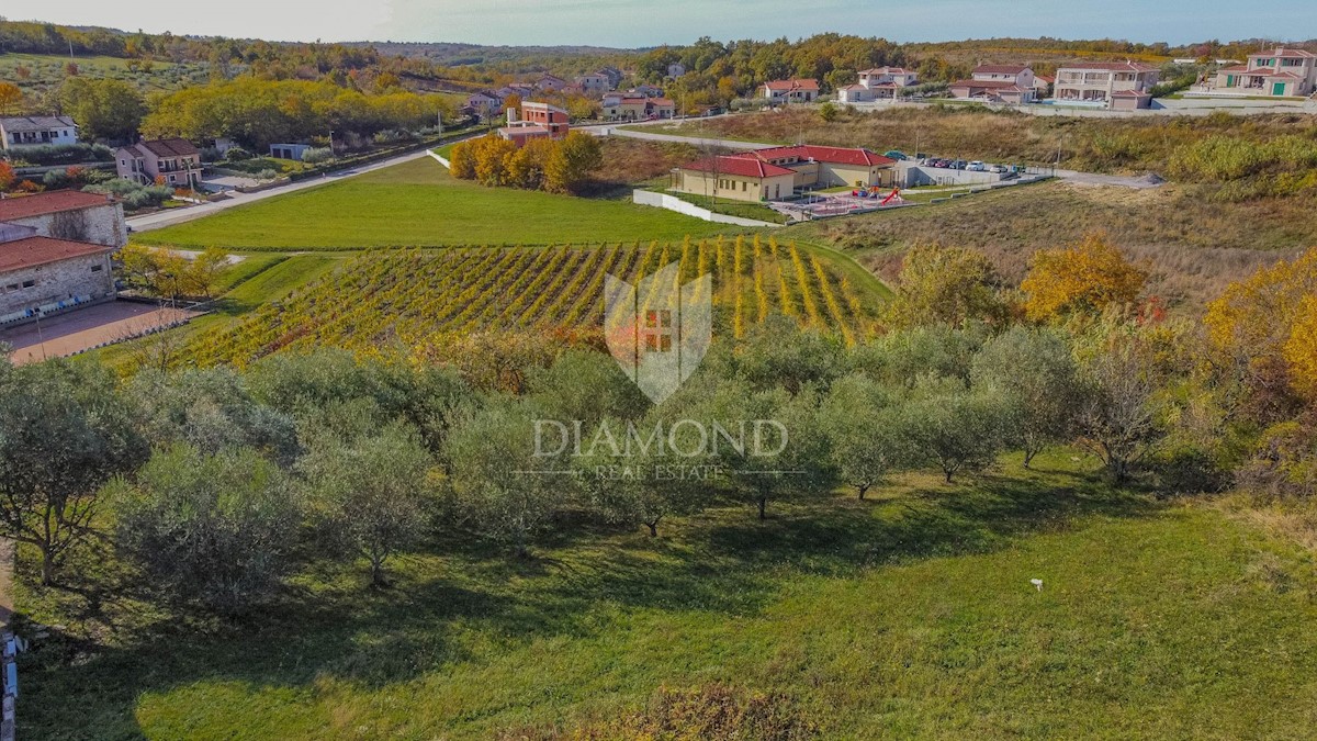 Visinada, terreno edificabile con vista aperta