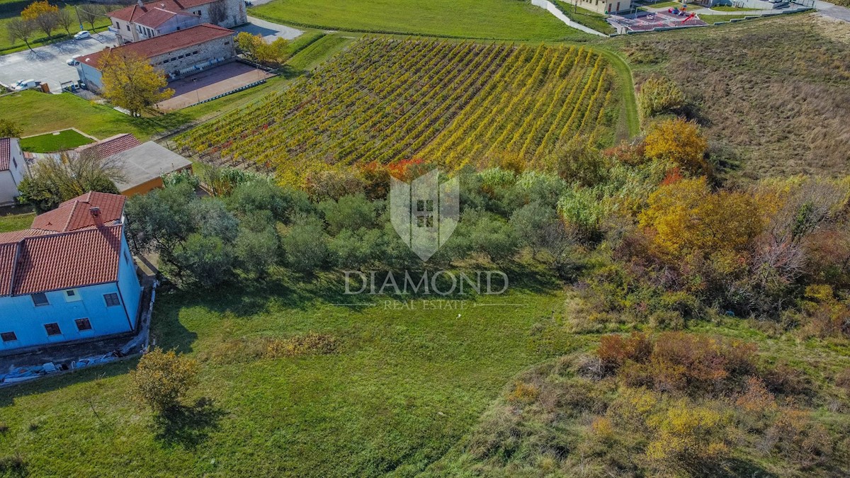 Visinada, terreno edificabile con vista aperta