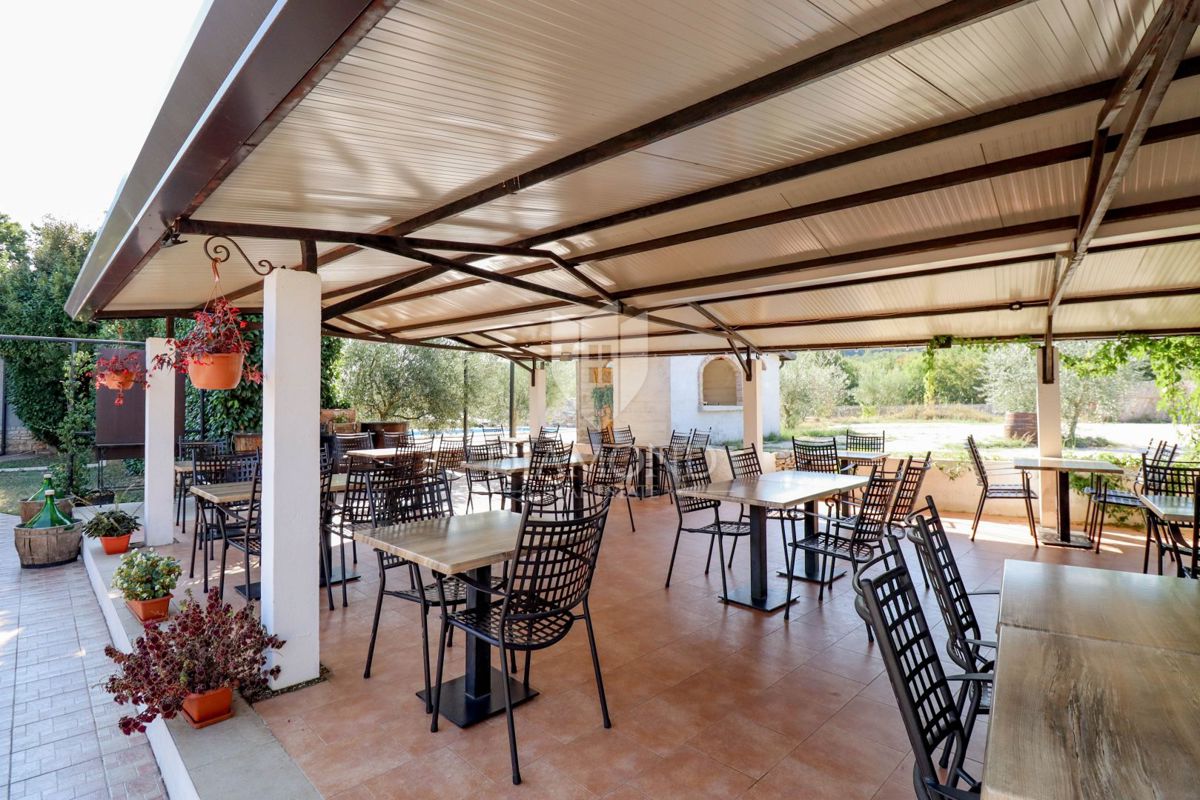 Opportunità! Taverna con camere e due appartamenti in vendita!