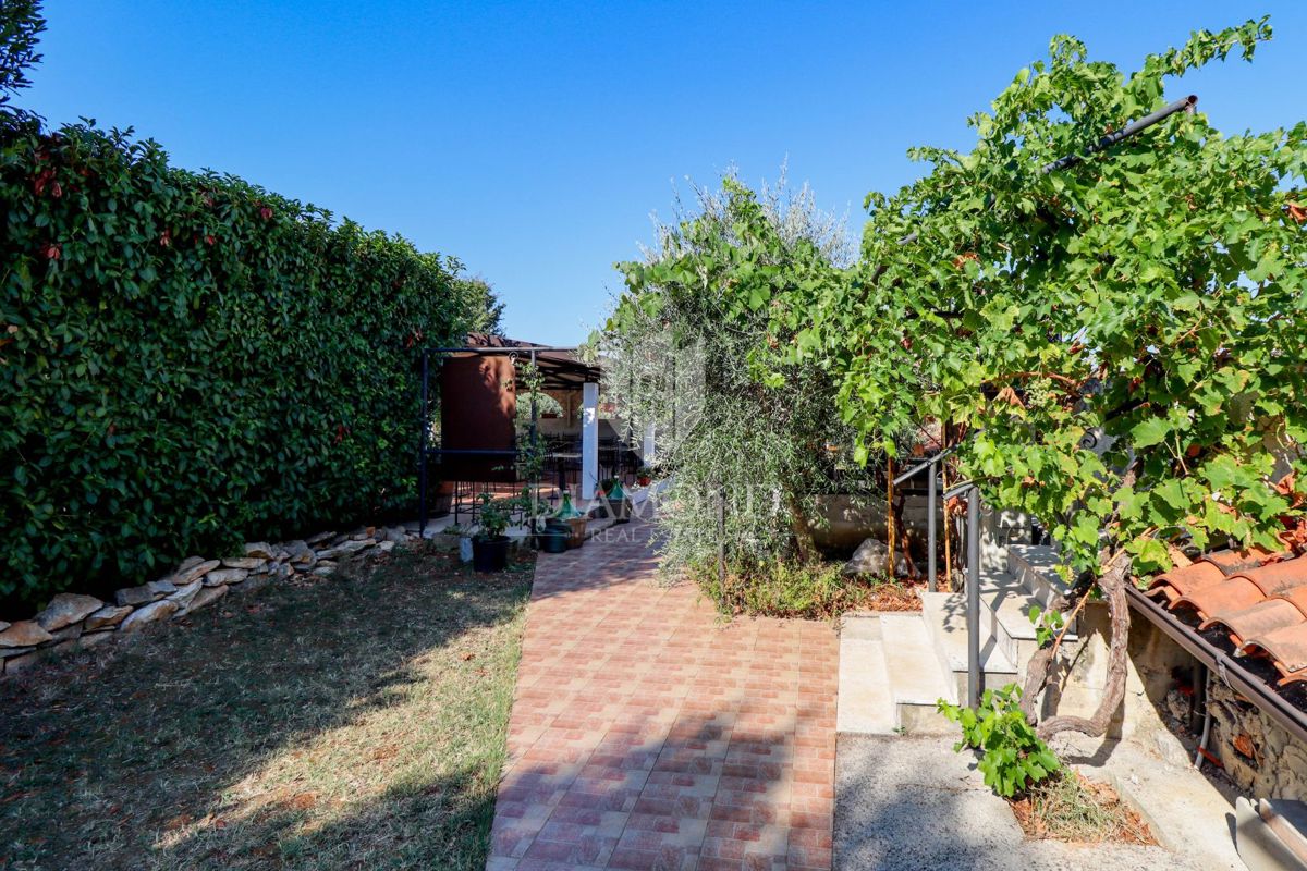 Opportunità! Taverna con camere e due appartamenti in vendita!
