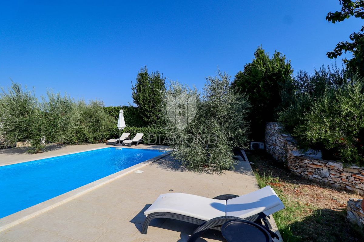 Opportunità! Taverna con camere e due appartamenti in vendita!