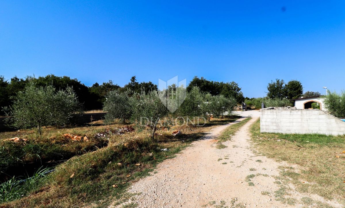 Opportunità! Taverna con camere e due appartamenti in vendita!