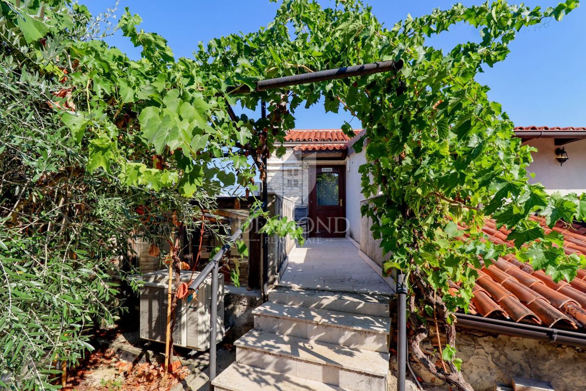 Opportunità! Taverna con camere e due appartamenti in vendita!