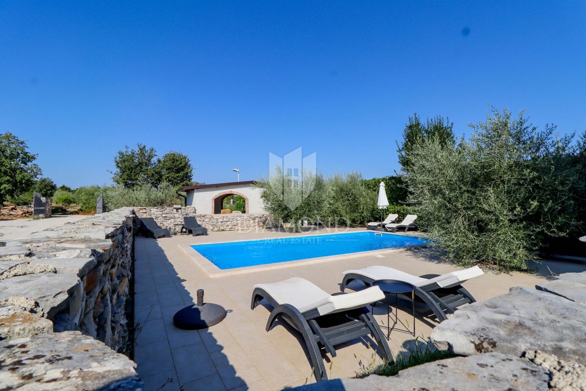 Opportunità! Taverna con camere e due appartamenti in vendita!