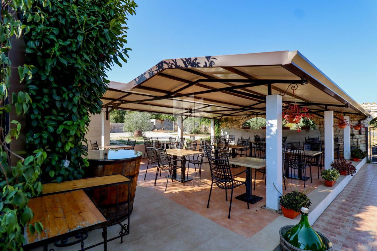 Opportunità! Taverna con camere e due appartamenti in vendita!