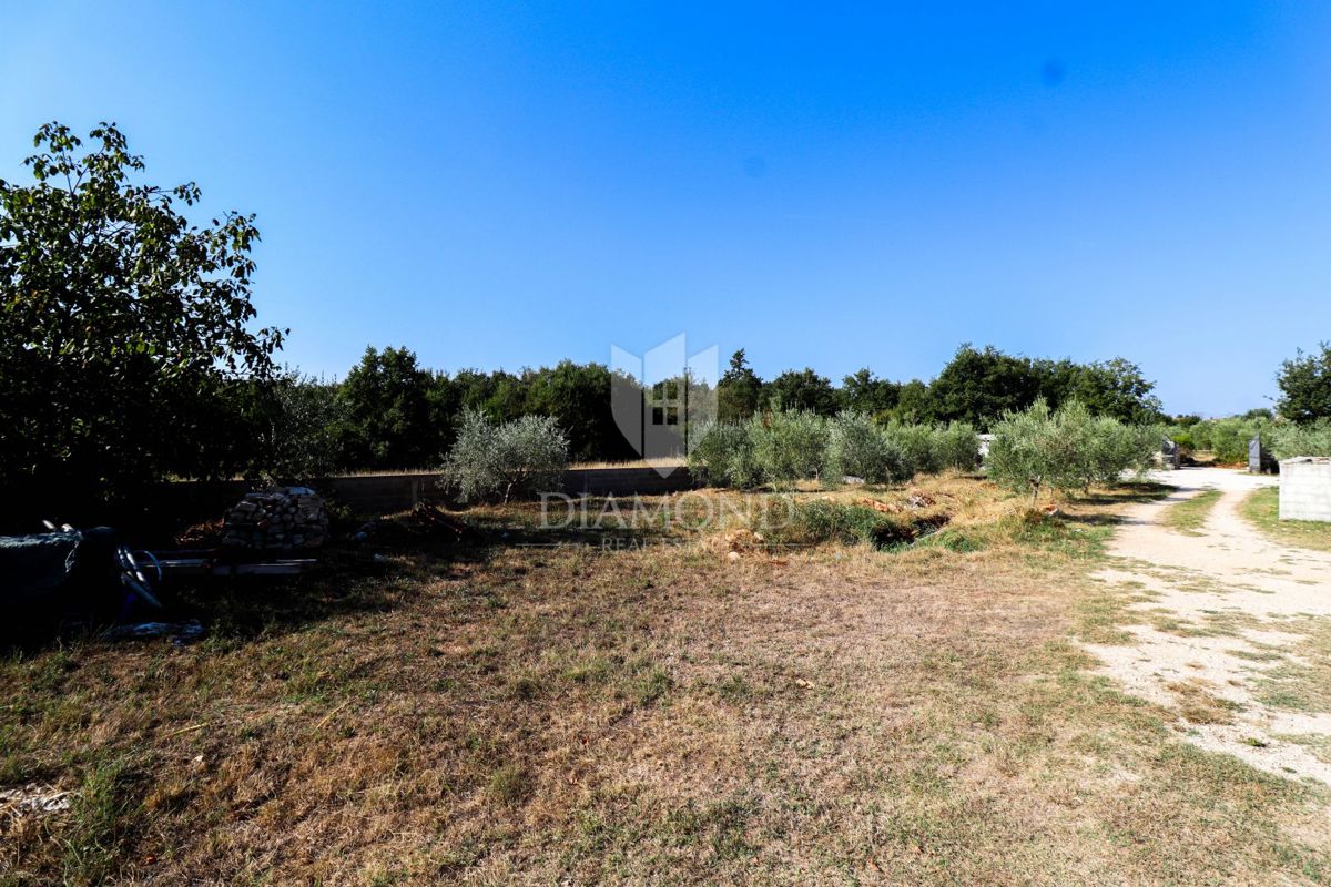 Opportunità! Taverna con camere e due appartamenti in vendita!