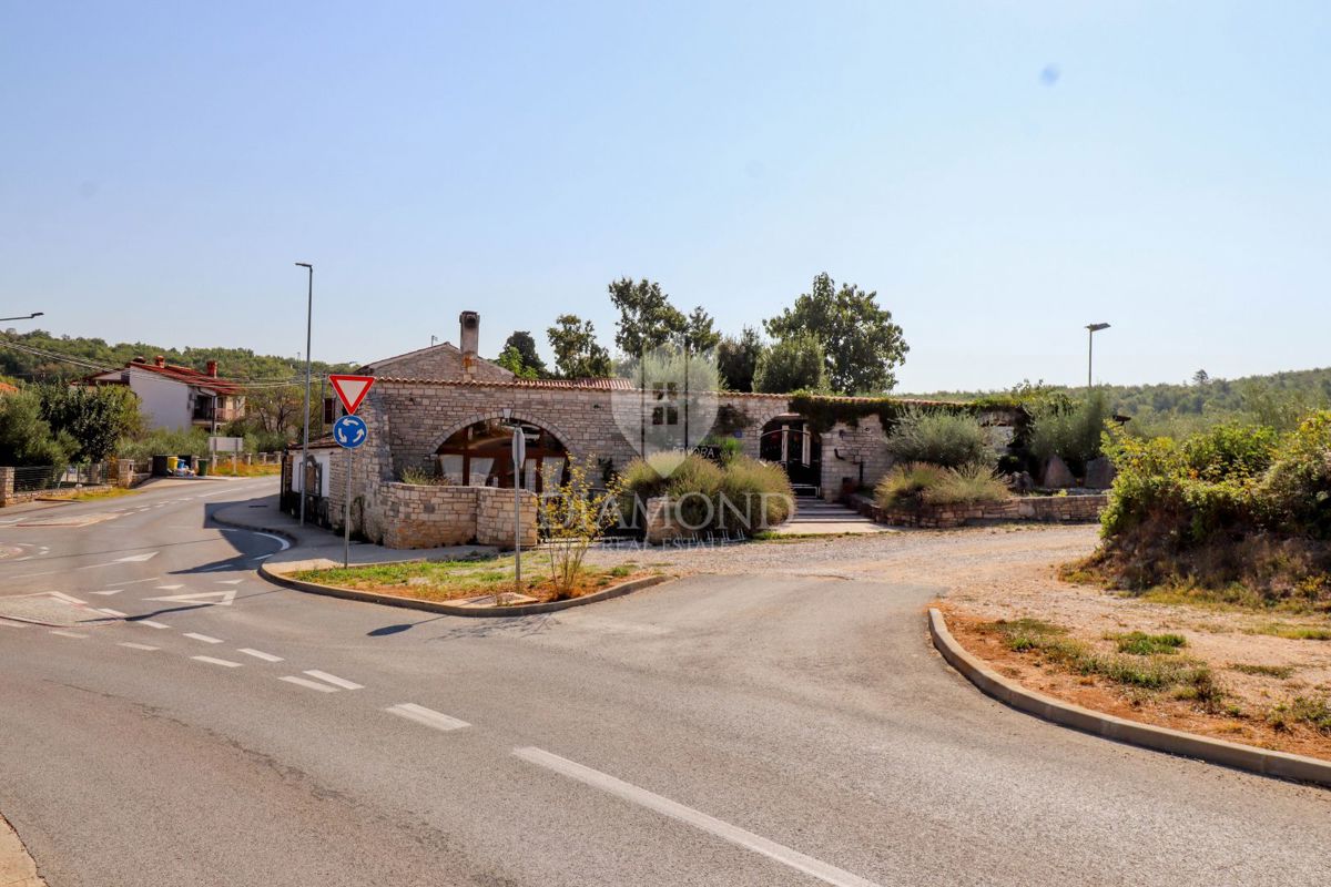 Opportunità! Taverna con camere e due appartamenti in vendita!