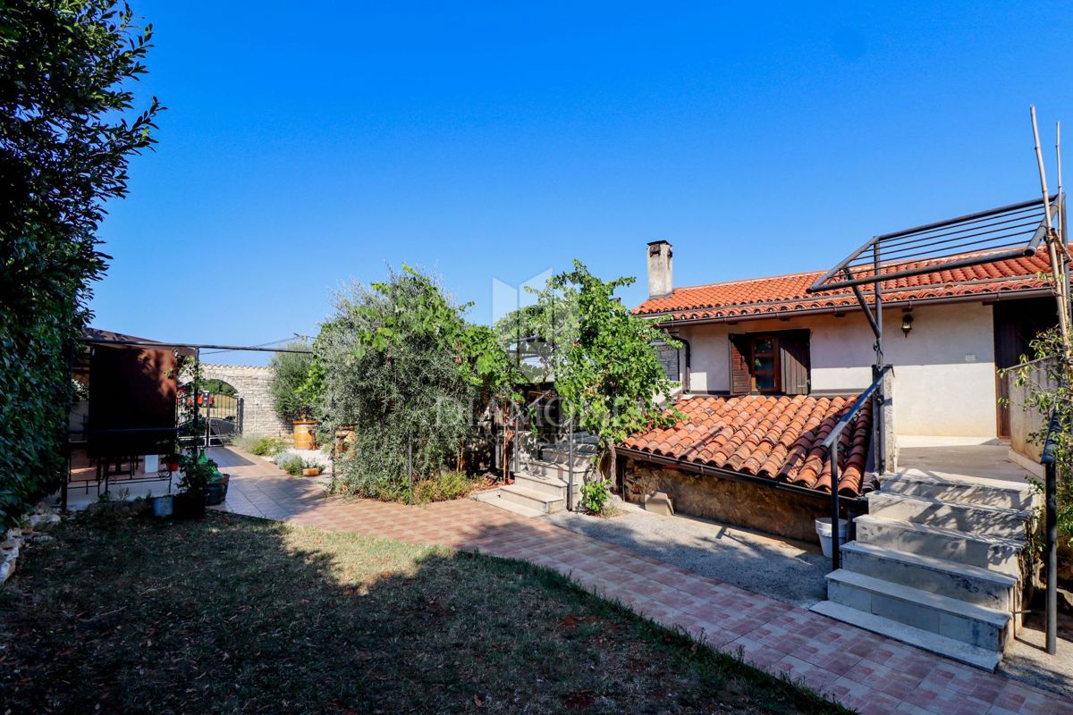 Opportunità! Taverna con camere e due appartamenti in vendita!