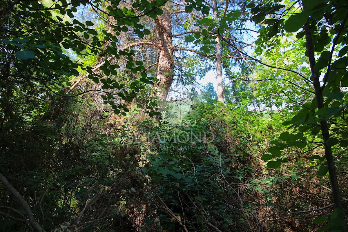 Rabac - Labin, terreno edificabile in ottima posizione