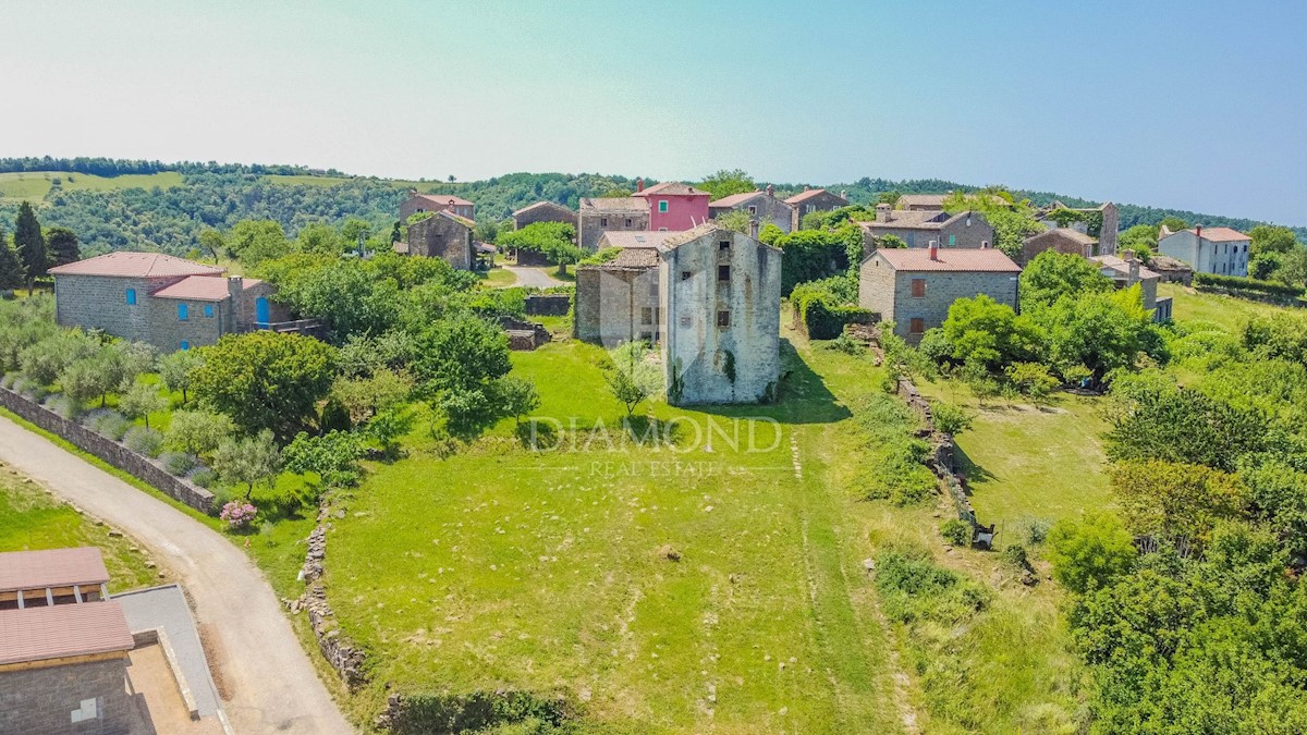 Momiano, dintorni! Rudere da ristrutturare con vista panoramica sul mare!