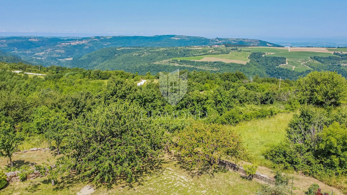 Momiano, dintorni! Rudere da ristrutturare con vista panoramica sul mare!