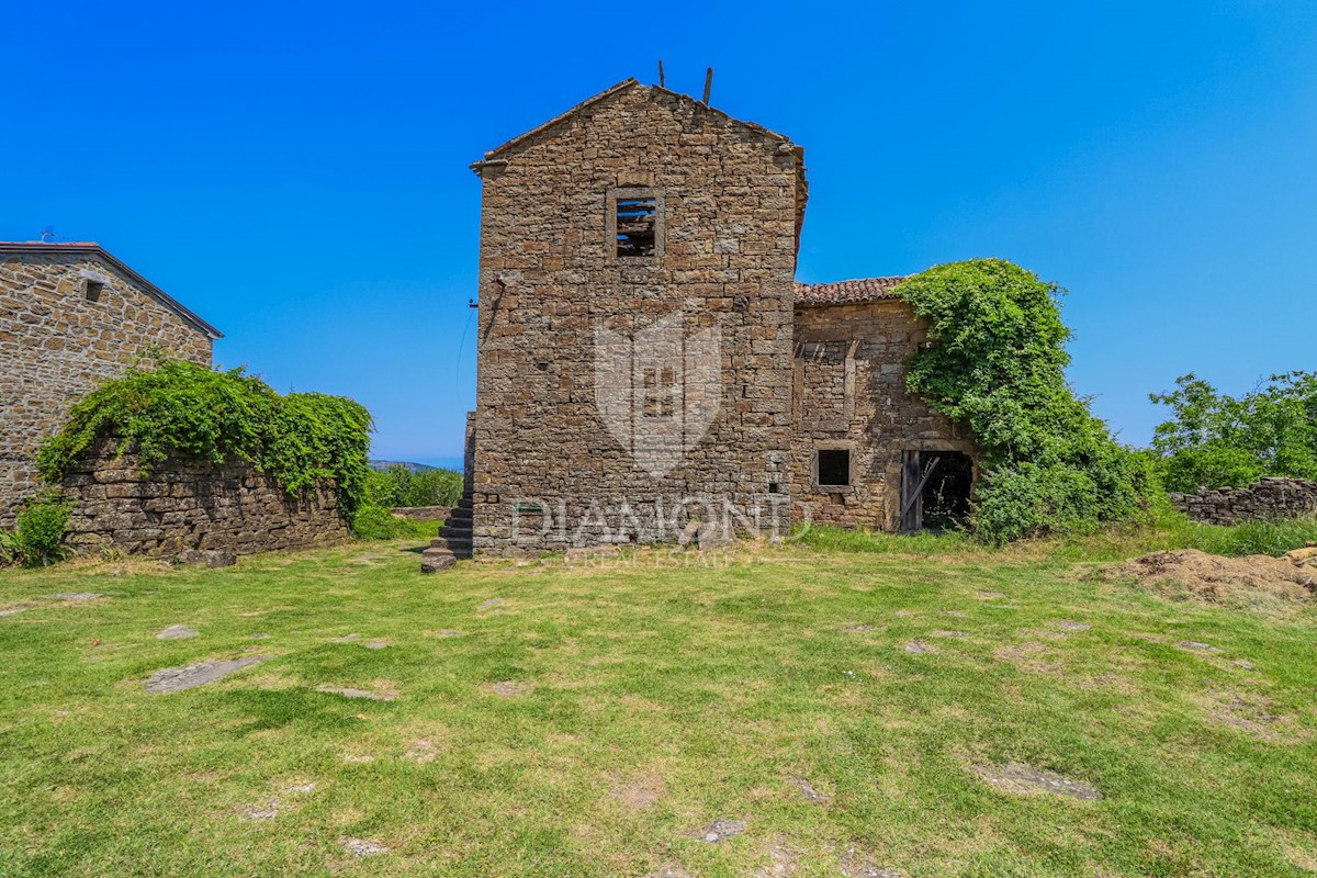 Momiano, dintorni! Rudere da ristrutturare con vista panoramica sul mare!