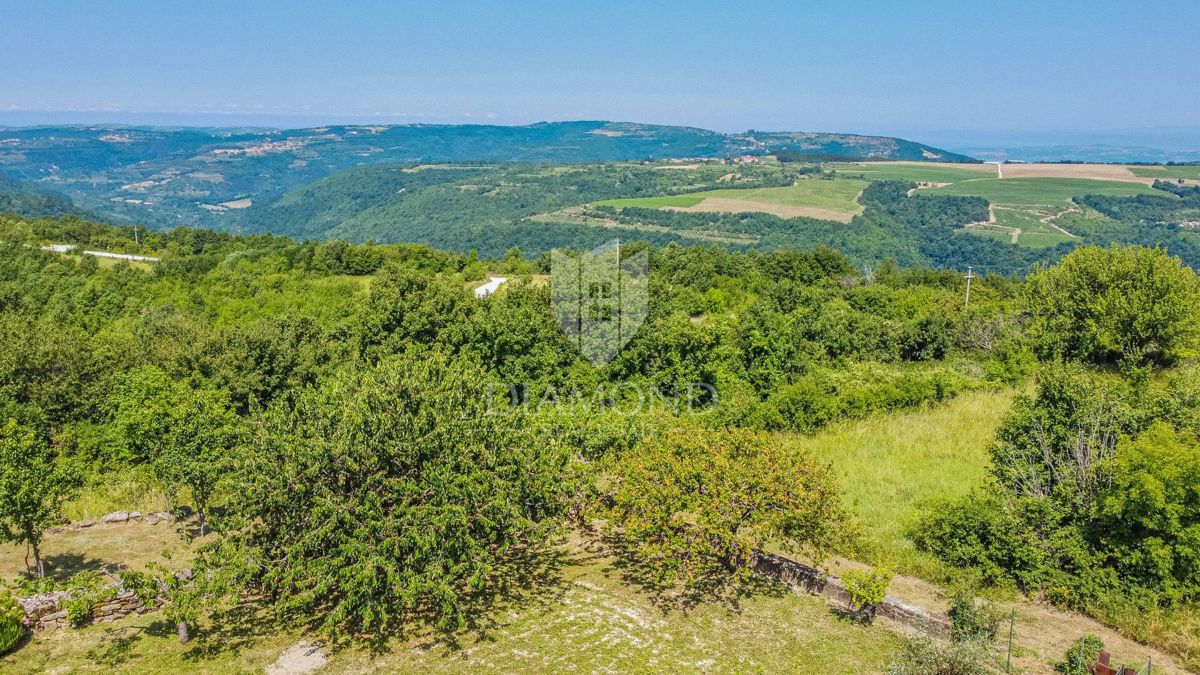 Momiano, dintorni! Rudere da ristrutturare con vista panoramica sul mare!