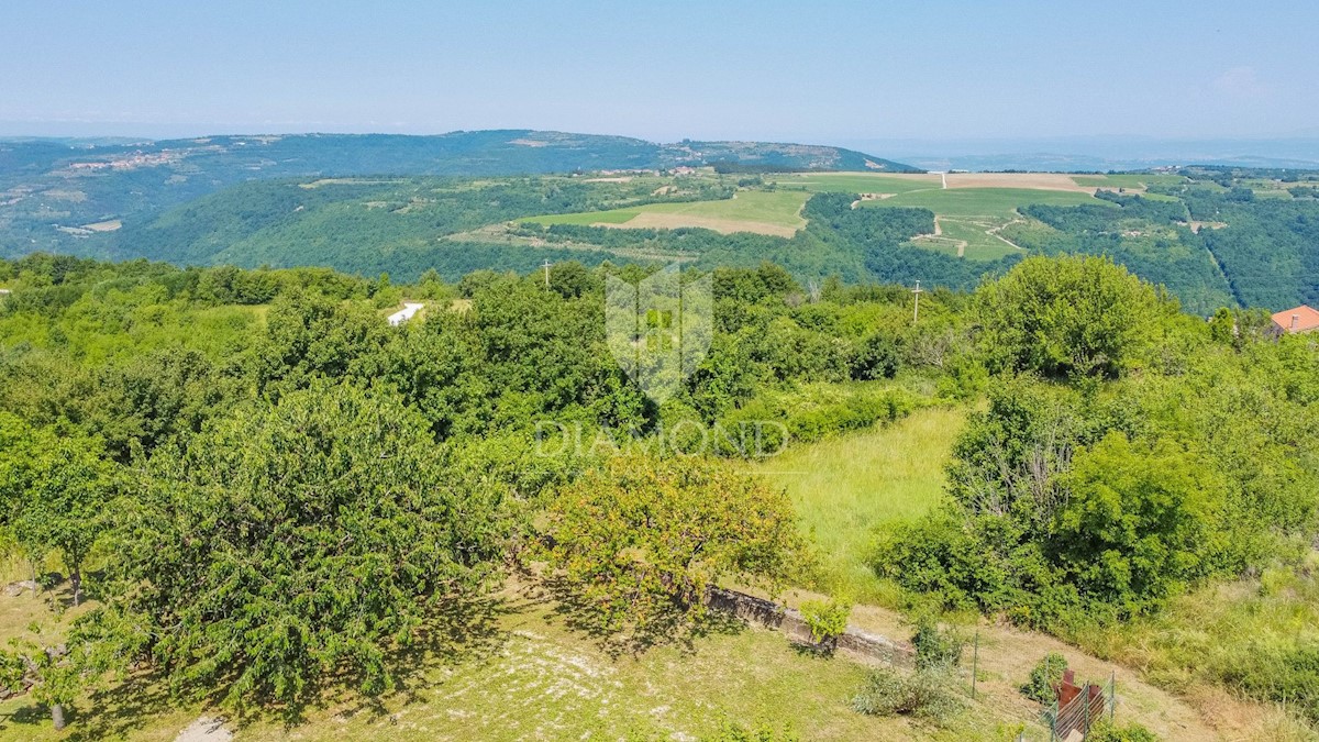 Momiano, dintorni! Rudere da ristrutturare con vista panoramica sul mare!