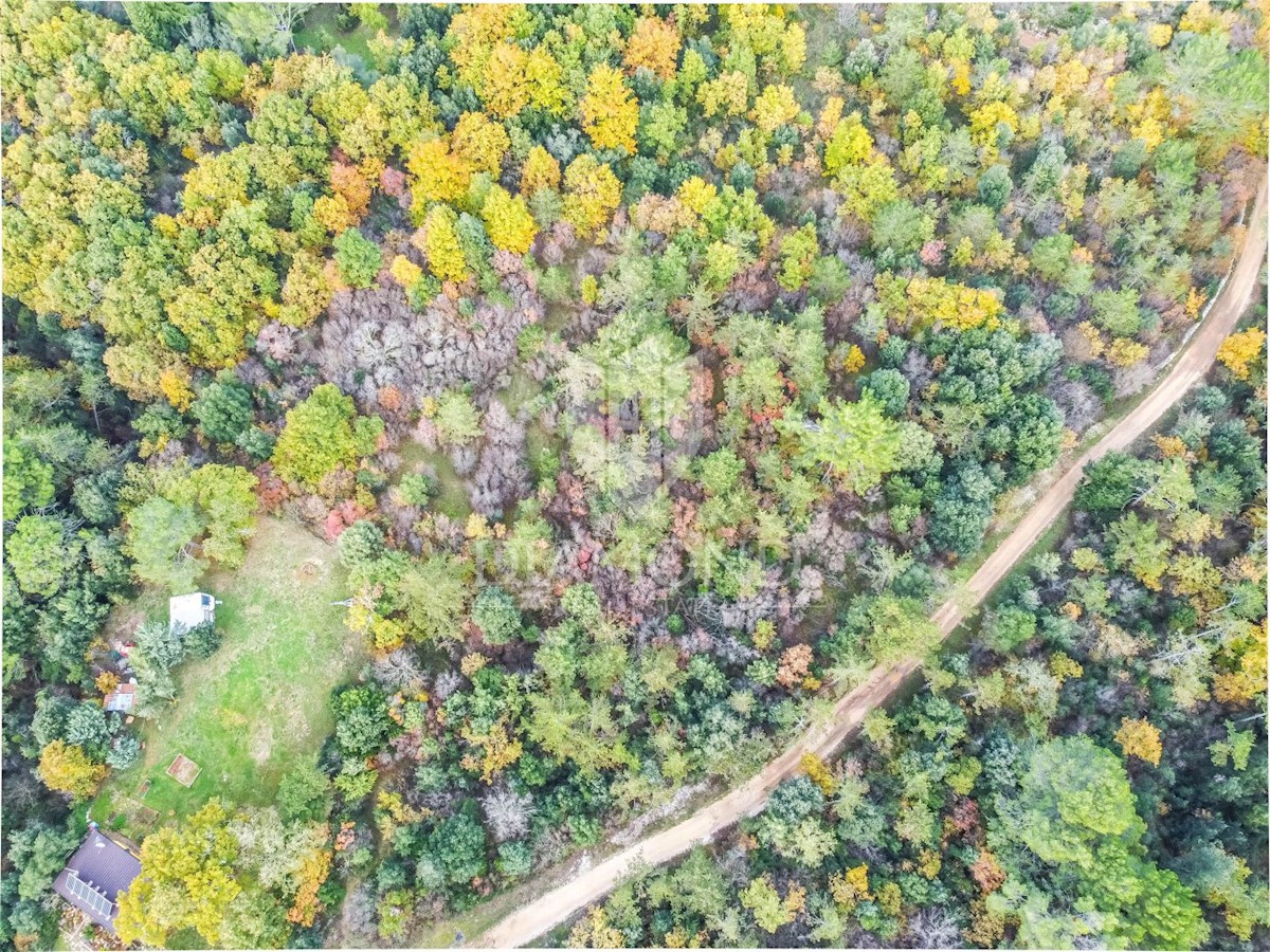 Terreno Poreč, 1.500m2