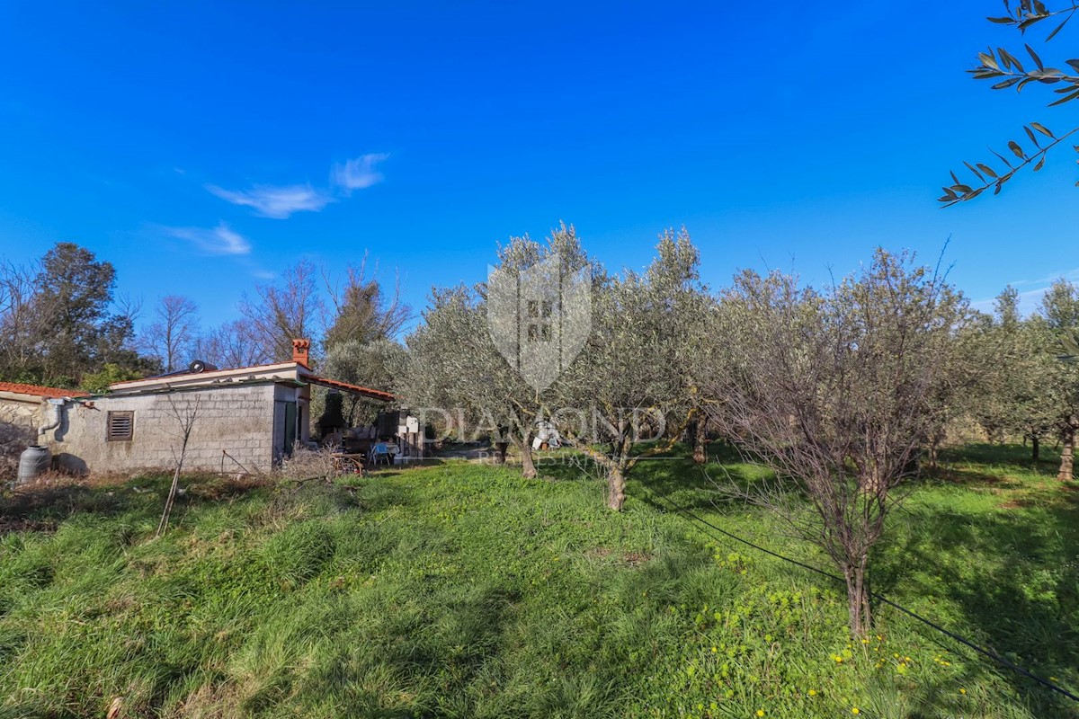 Rovigno, terreno coltivato con casa legalizzata