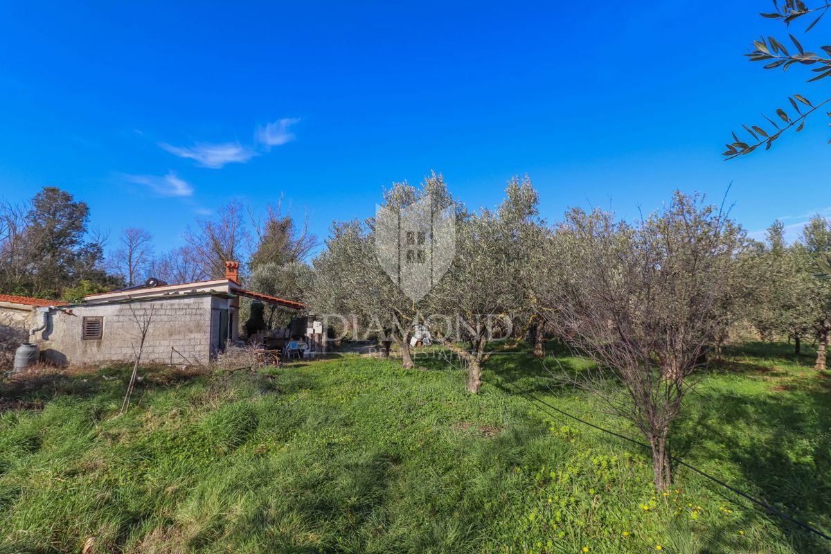 Rovigno, terreno coltivato con casa legalizzata