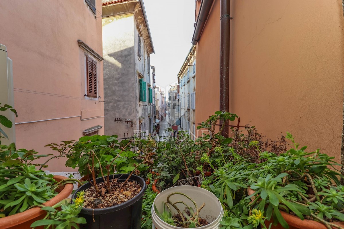 Rovigno, centro, appartamento in una posizione perfetta