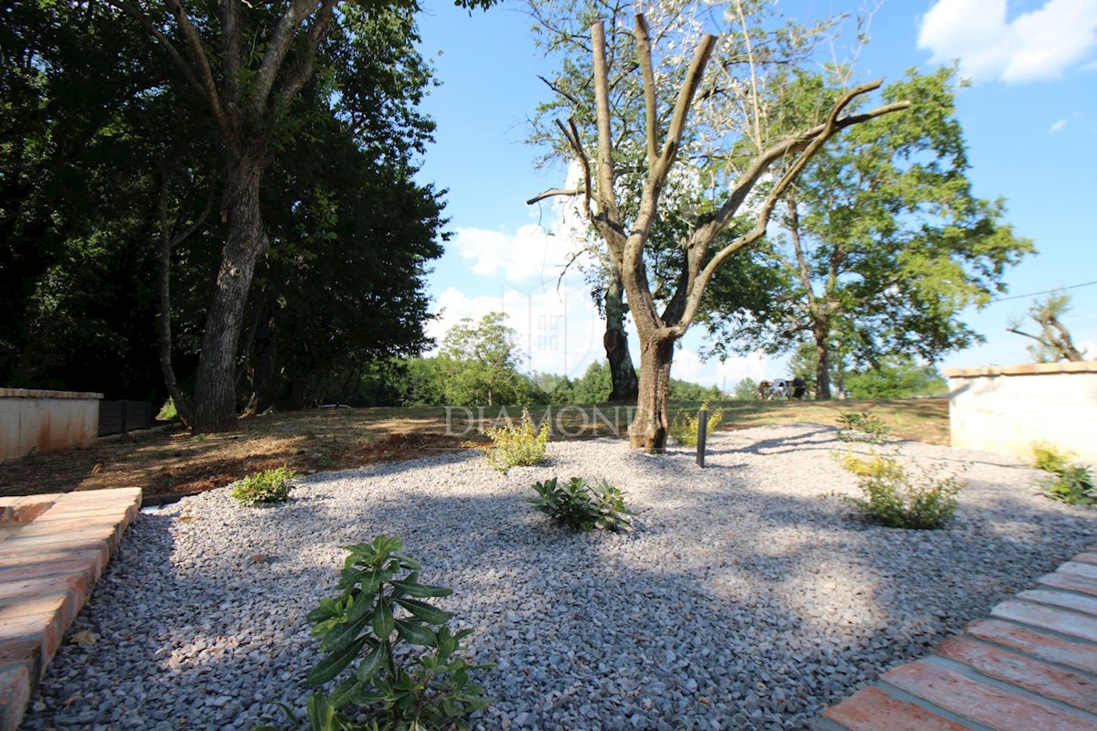 Barban, Istria centrale, casa in pietra ristrutturata con piscina