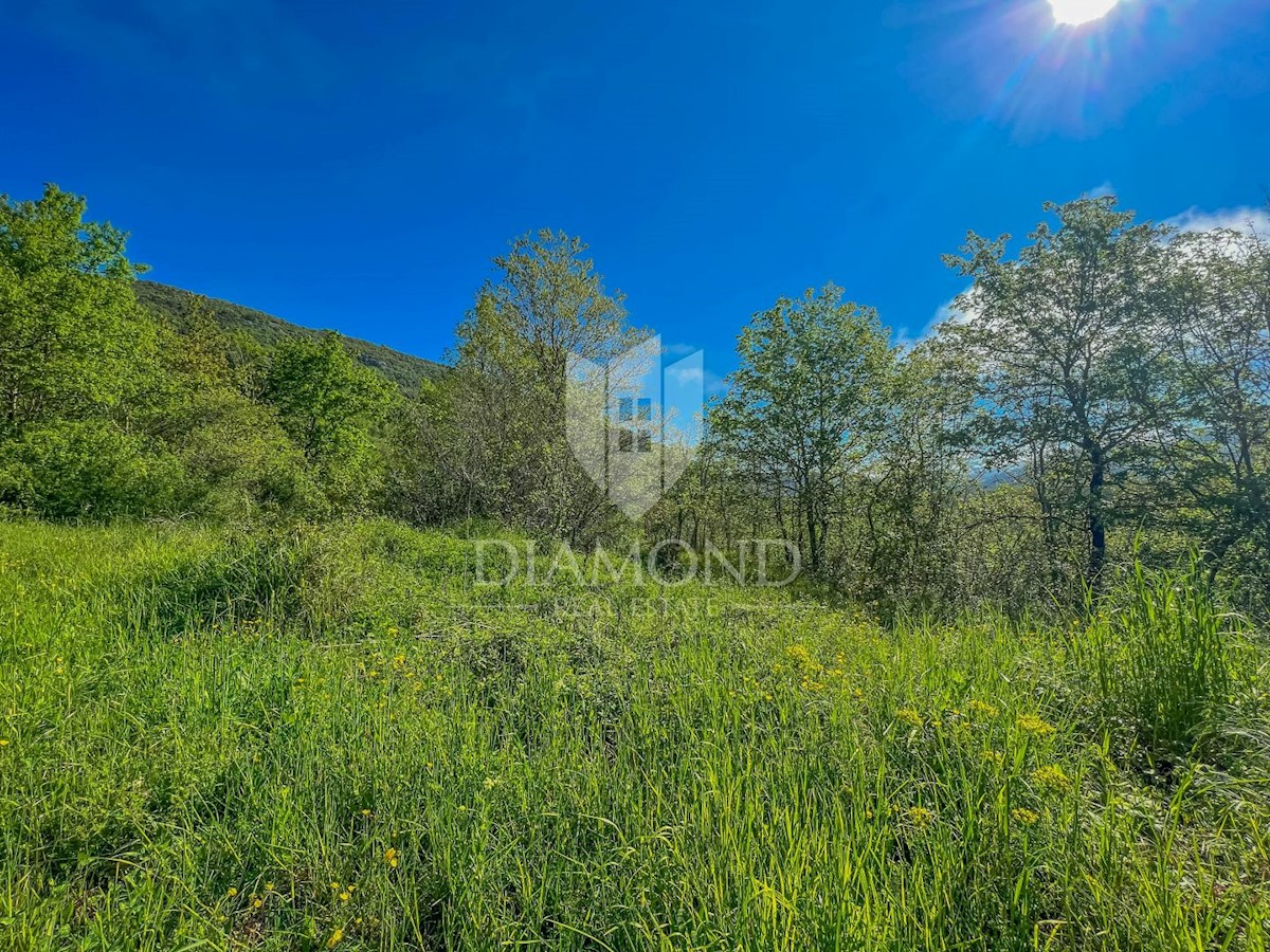 Zona Oprtalj, ampio terreno edificabile