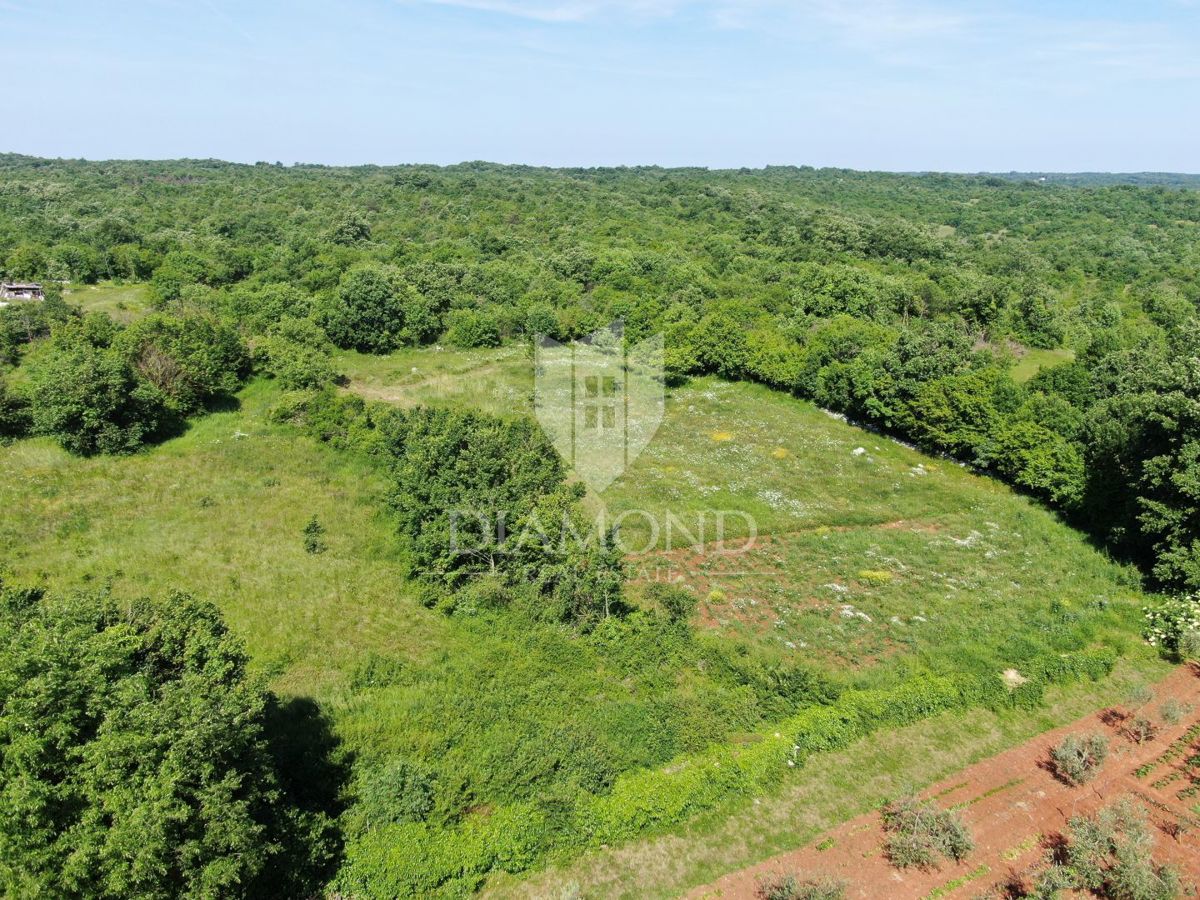 Barban, dintorni, terreno edificabile in posizione tranquilla