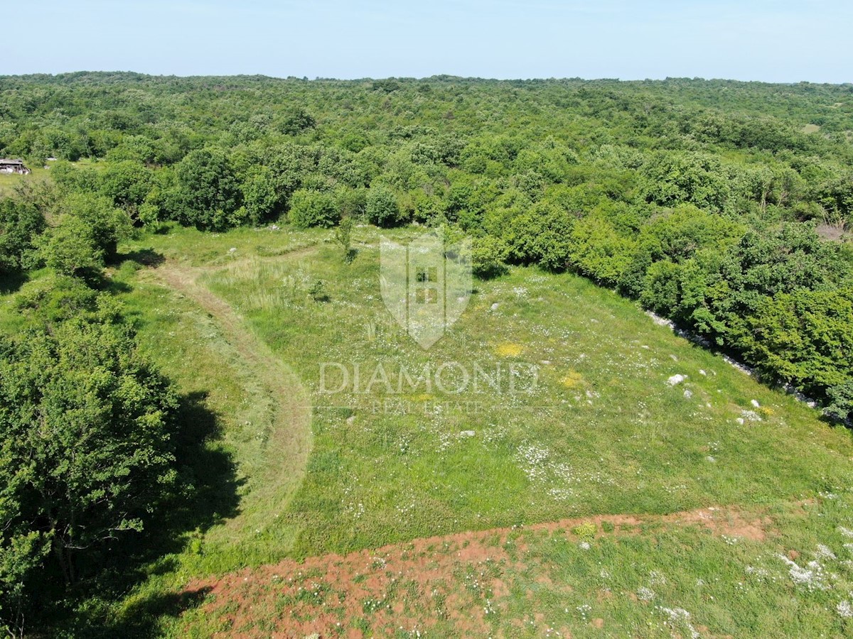 Barban, dintorni, terreno edificabile in posizione tranquilla