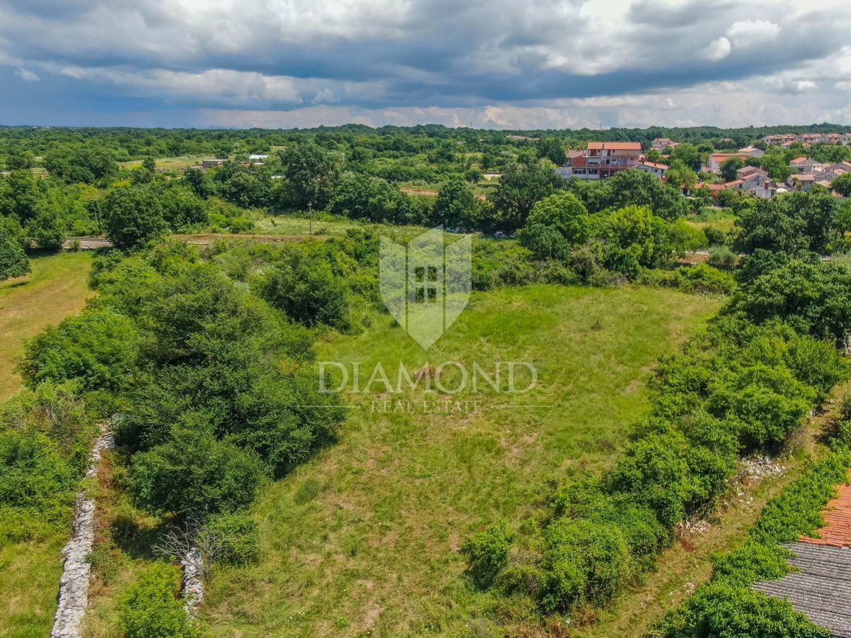 Svetvinčenat, dintorni, terra isolata