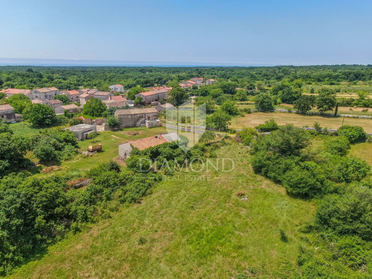 Svetvinčenat, dintorni, terra isolata