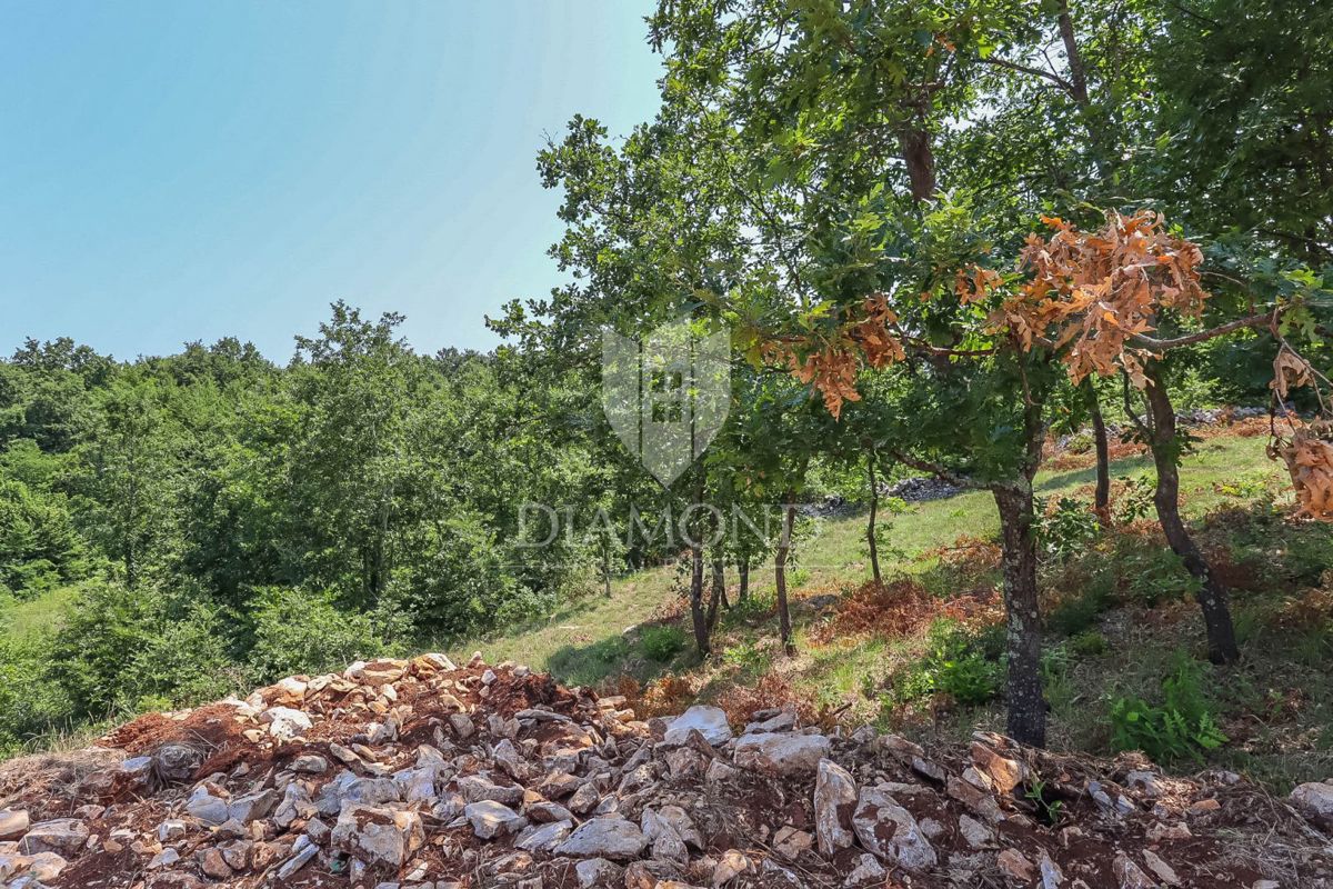 Atterra in un idillio rurale non lontano da Svetvinčent