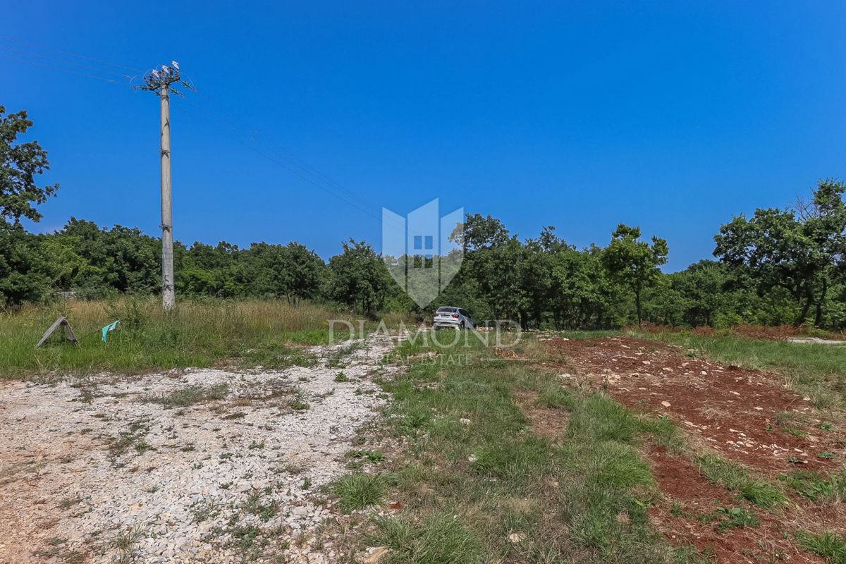 Atterra in un idillio rurale non lontano da Svetvinčent