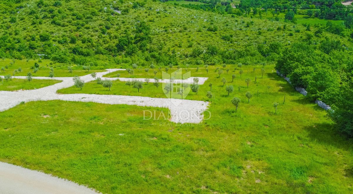 Momiano, dintorni! Una bella casa con piscina in costruzione!