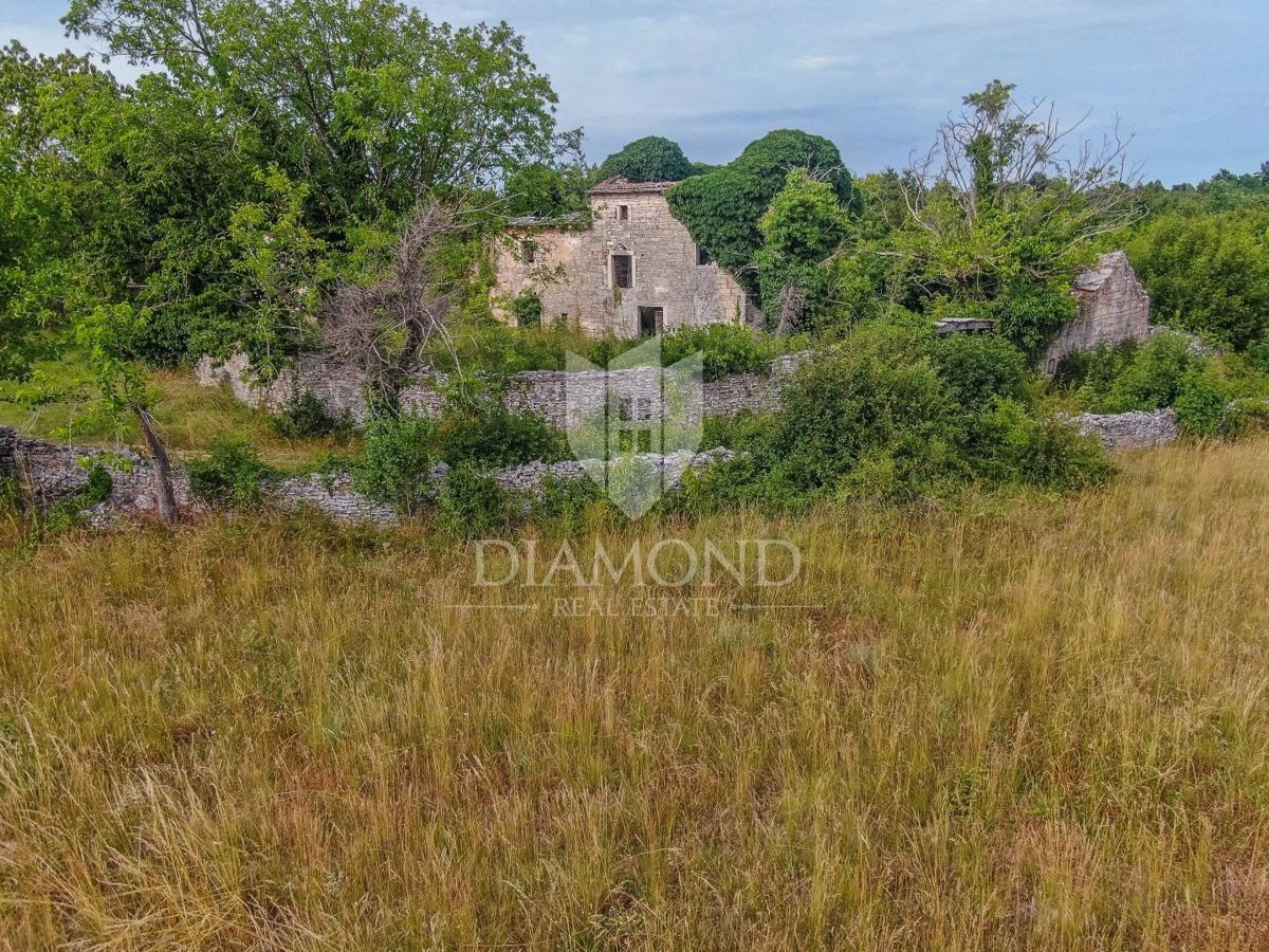 Un antico da ristrutturare nella natura non lontano da Gimino
